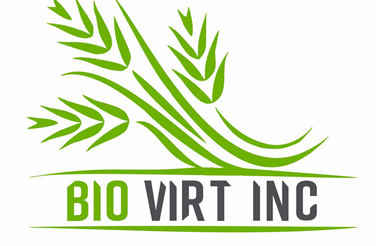 Сдружение Национален център за информационно обслужване е бенефициент по проект „BIOVIRTINC – Трансграничен виртуален инкубатор за насърчаване на заетостта в биологичното земеделието, обработката на биологичните продукти и свързани услуги“